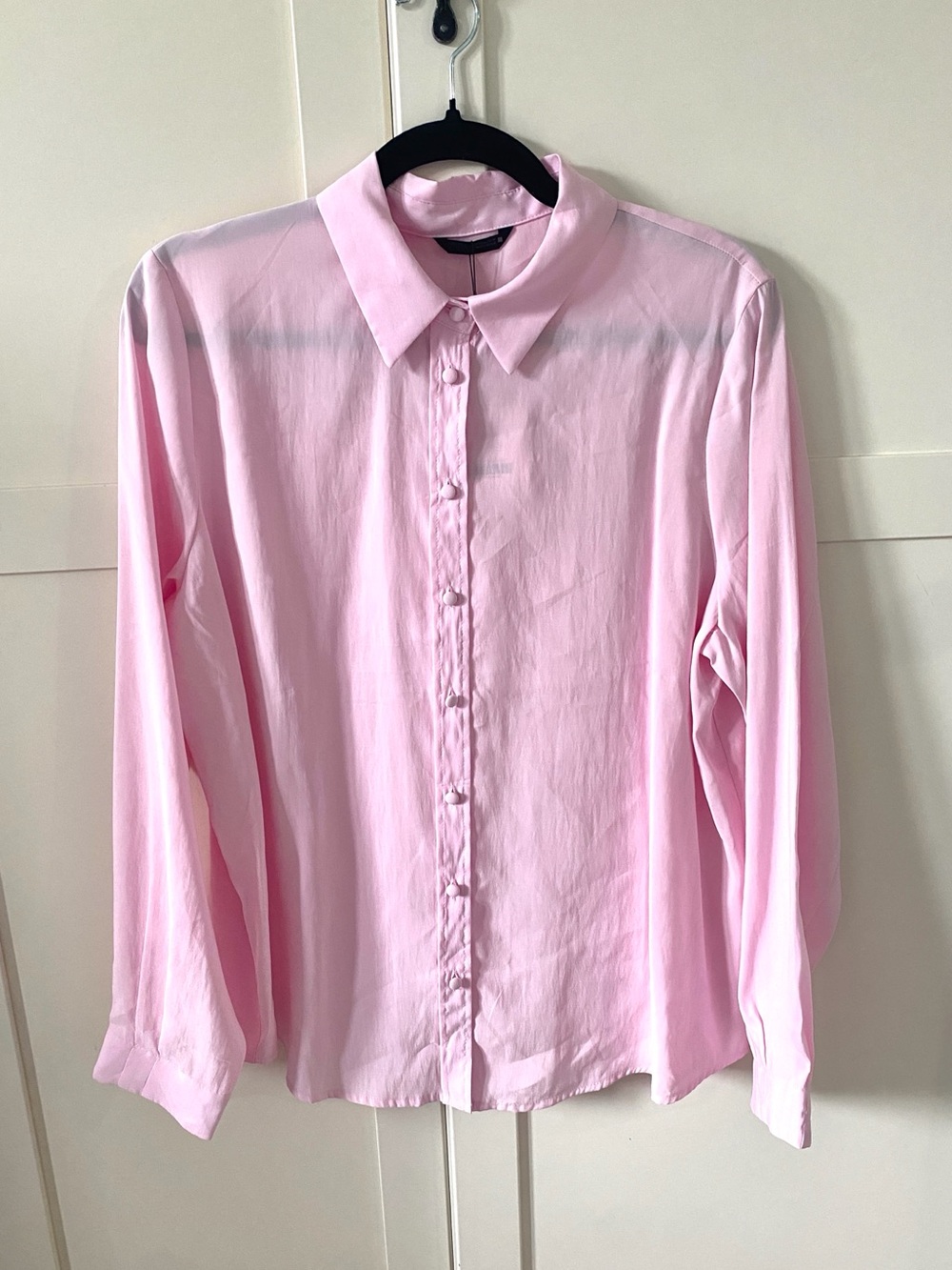 NWT ZARA Classic Pink Sheer Button-Down Shirt | Romantic Blouse | Size L